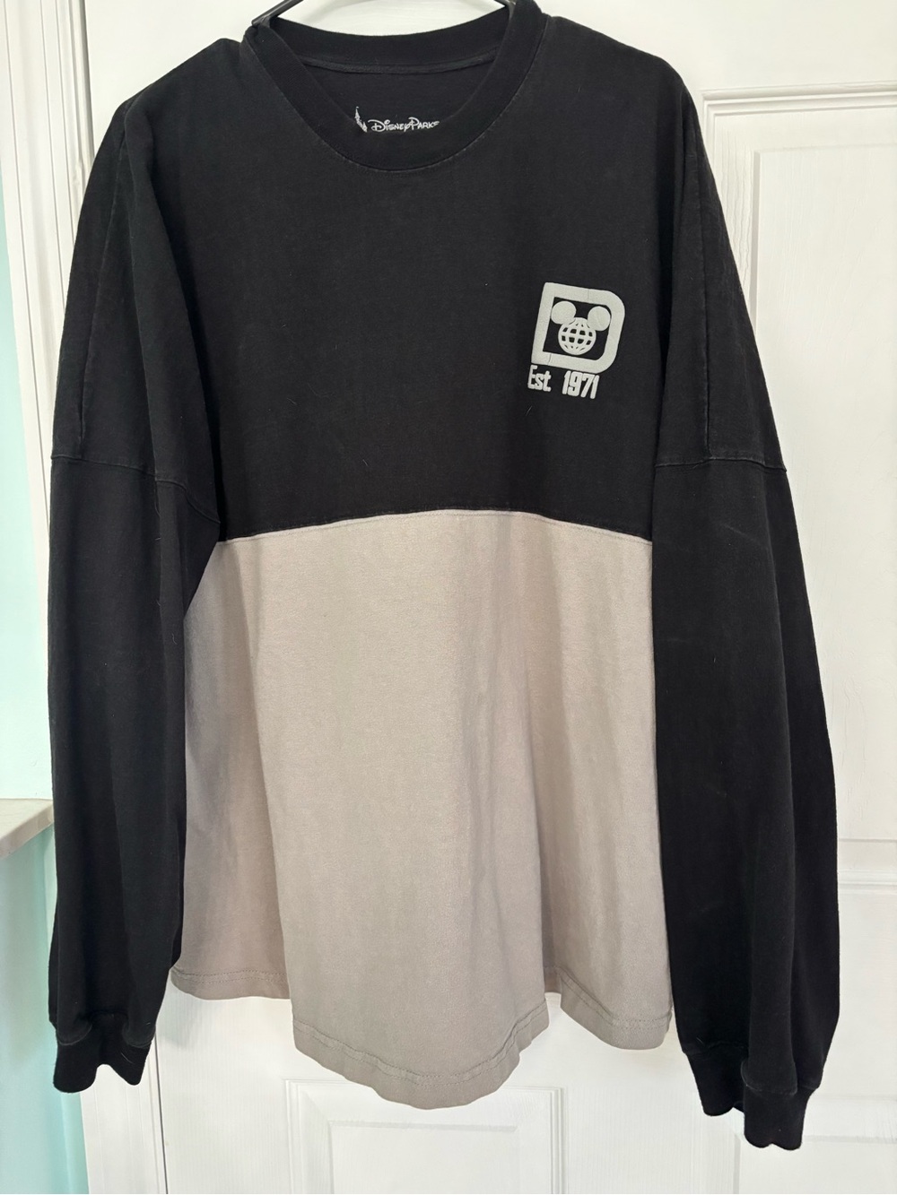 Disney Parks Spirit Jersey